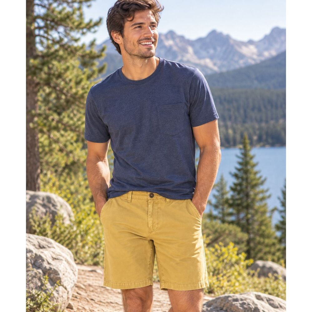 American Eagle Mens Size 28 Longboard Khaki Tan Chino Shorts Cotton Casual